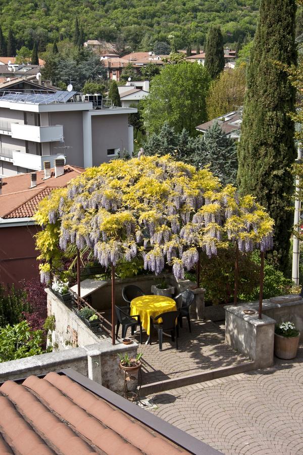 Apartment Casale Manzoni